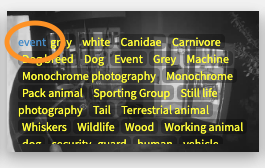 Screenshot 2024-02-14 at 4.16.46 PM.png